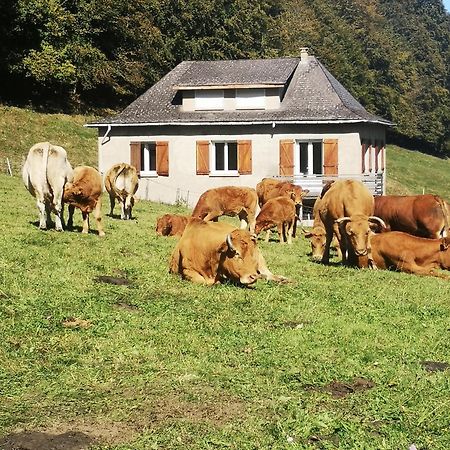 Tourmalet Villa กอมปอง ภายนอก รูปภาพ